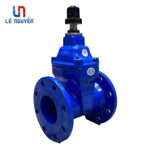 Van cổng ty chìm nắp chụp