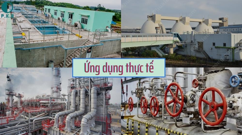 Vai trò của tê gang