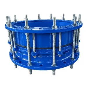 Khớp nối mềm BB gang cầu T-Blue