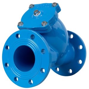 Lọc chữ Y BLUCAST van công nghiệp T-Blue