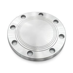 Bích đặc inox 304/316 - T-Blue