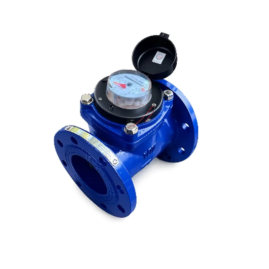 Đồng hồ T-FLOW DN50-300 TFB class B T-Blue