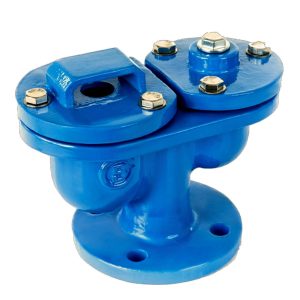 Van bi kép BLUCAST van công nghiệp T-Blue