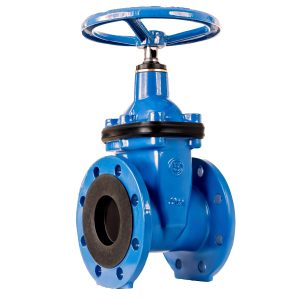 Van cổng BLUCAST van công nghiệp T-Blue