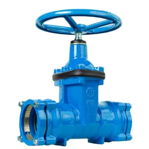 Van cổng đầu PE BLUCAST van công nghiệp T-Blue