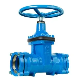 Van cổng đầu PE BLUCAST van công nghiệp T-Blue