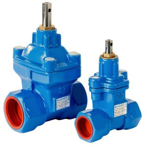 Van cổng nối ren BLUCAST van công nghiệp T-Blue