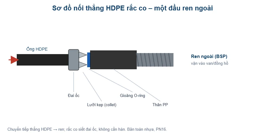 Sơ đồ nối thẳng HDPE rắc co ren ngoài - T-Blue