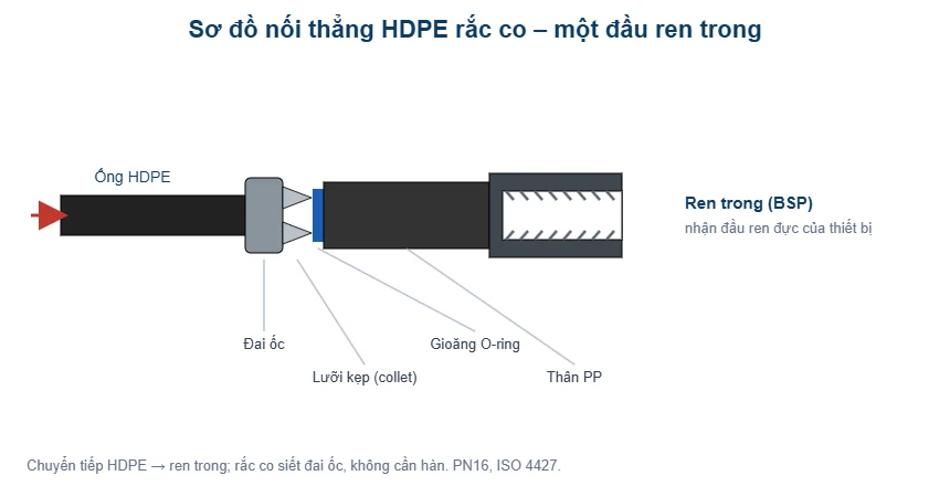 Sơ đồ nối thẳng HDPE rắc co ren trong - T-Blue