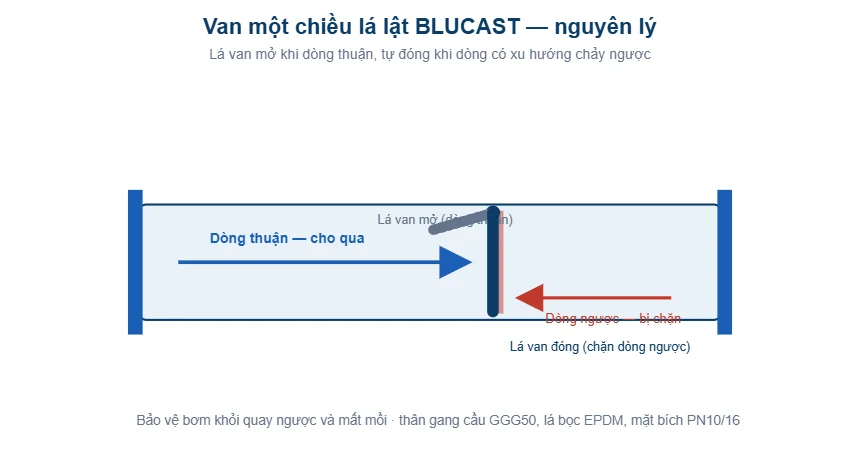 Sơ đồ nguyên lý van một chiều lá lật BLUCAST