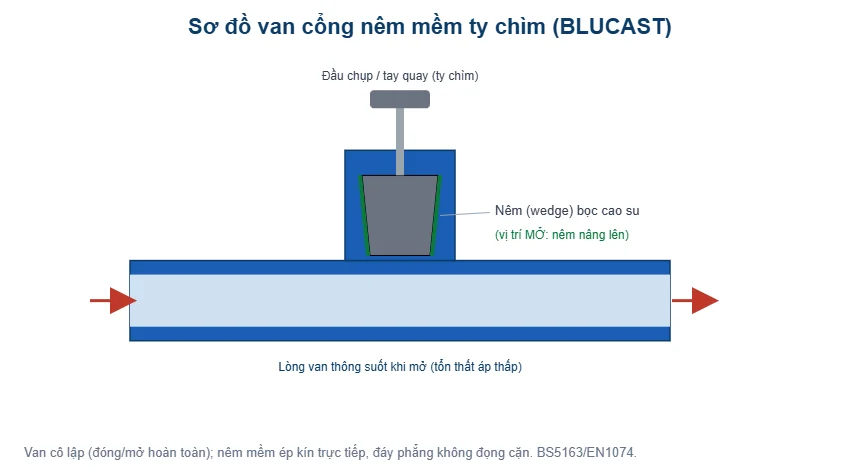 Sơ đồ van cổng nêm mềm ty chìm BLUCAST - T-Blue